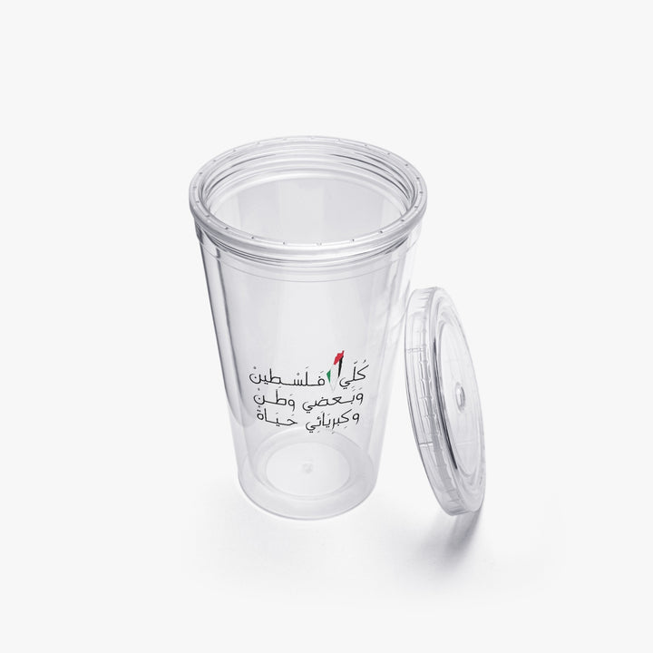 Double Wall Plastic Tumblers with Straw